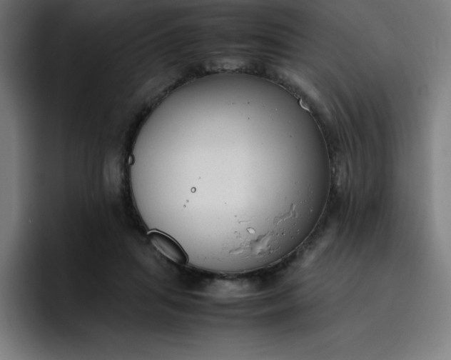 X0000096730455200802191552