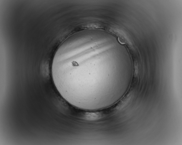 X0000096730457200802191552