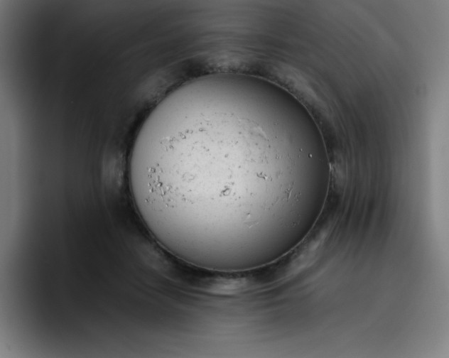 X0000096730458200802191552