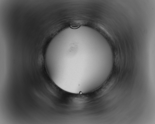 X0000096730459200802191552