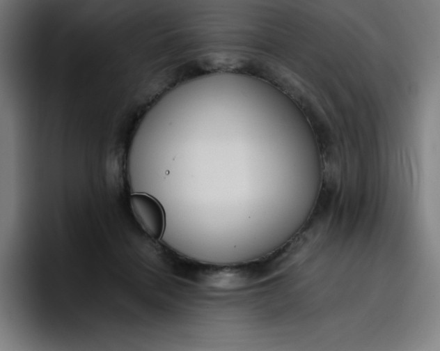 X0000096730460200802191552