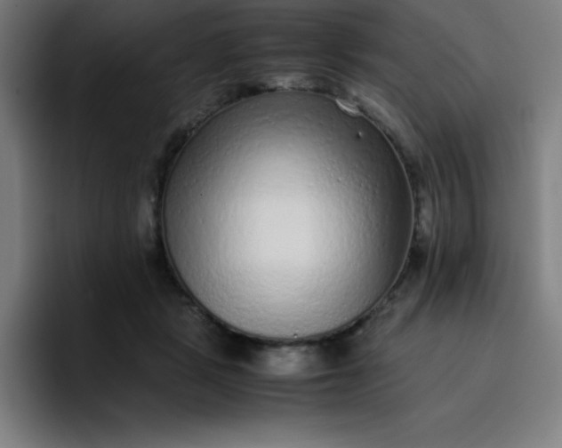 X0000096730461200802191552