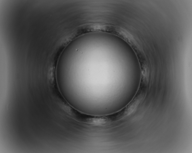 X0000096730462200802191552