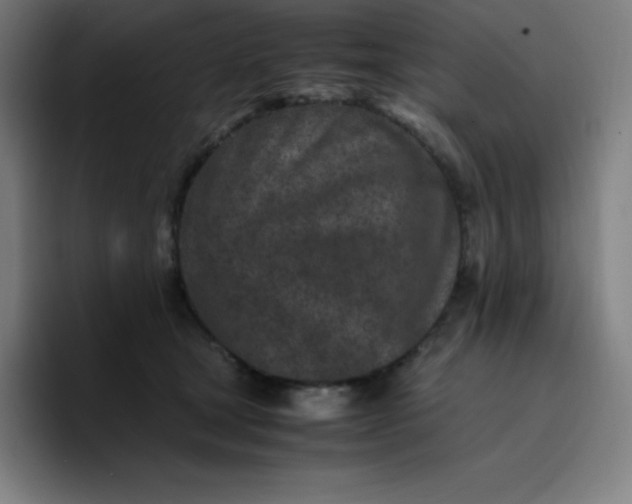 X0000096730465200802191552