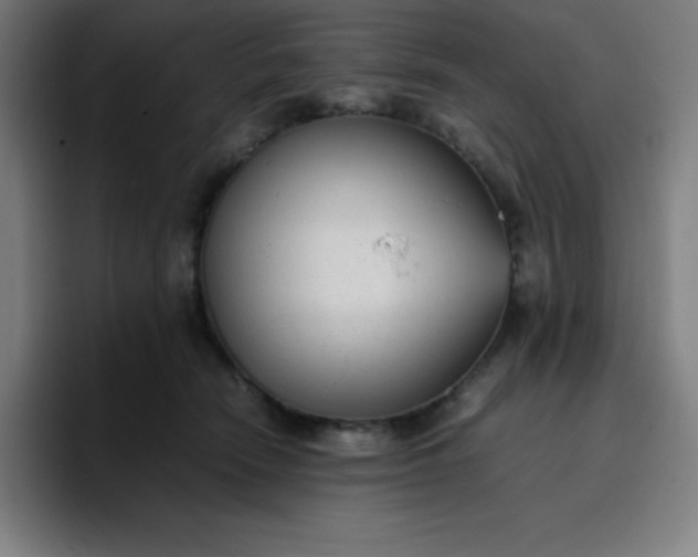 X0000096730466200802191552