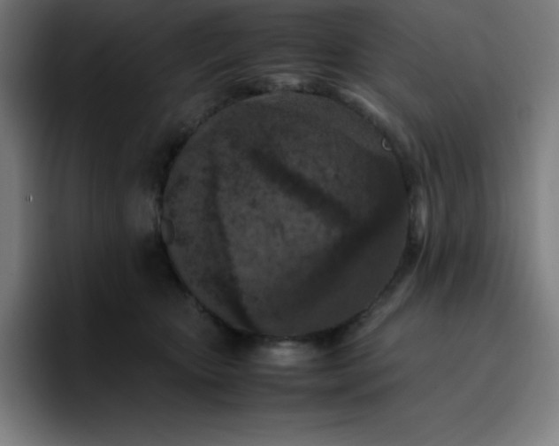 X0000096730467200802191552