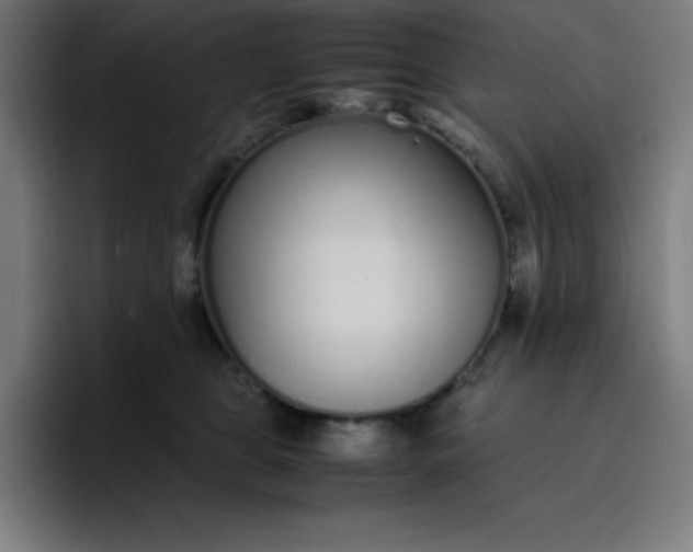 X0000096730469200802191552