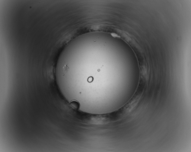 X0000096730470200802191552