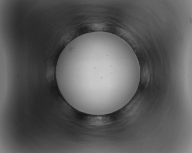 X0000096730473200802191552