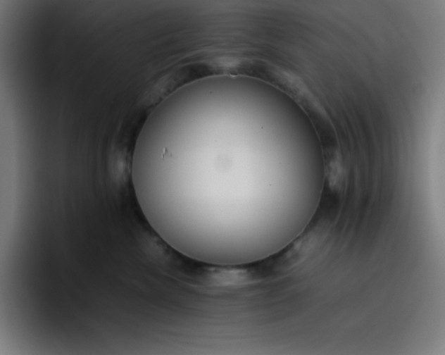 X0000096730476200802191552