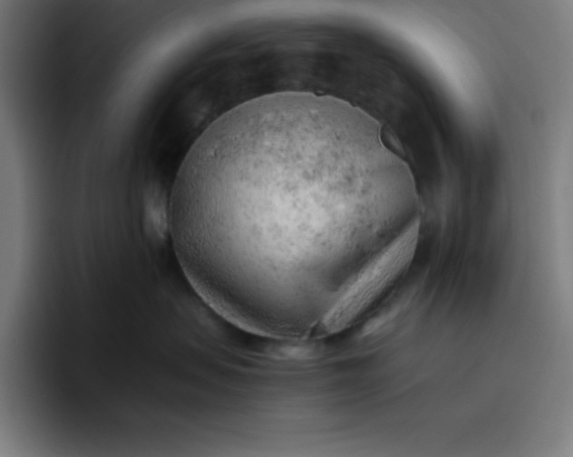 X0000096730479200802191552