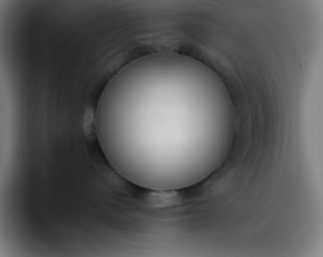 X0000096730480200802191552