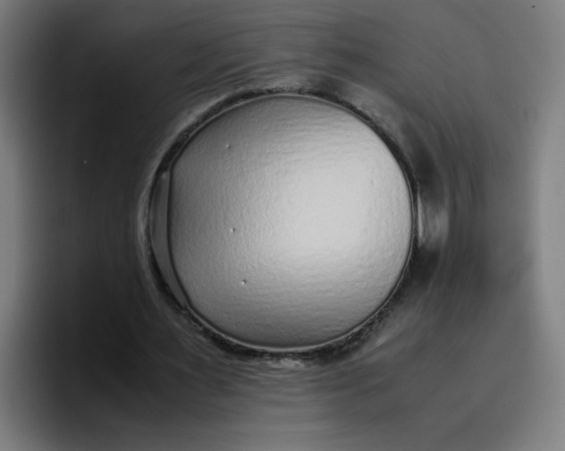 X0000096730483200802191551