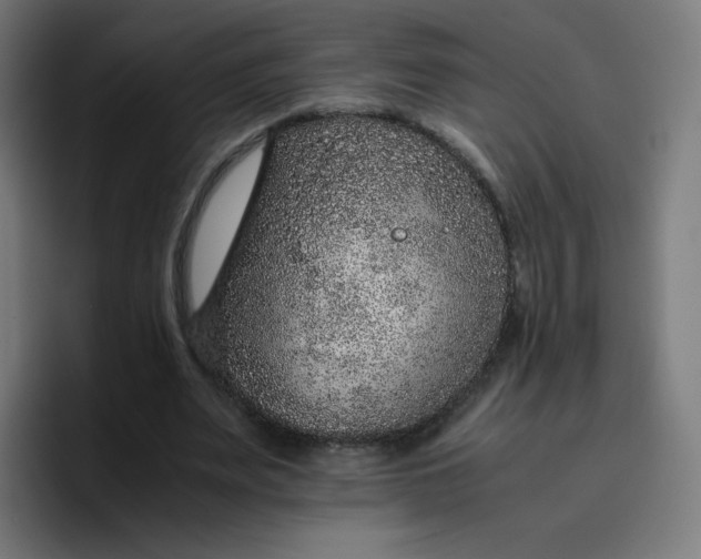 X0000096730487200802191551