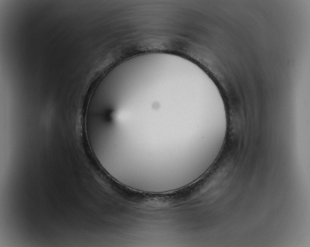 X0000096730489200802191551