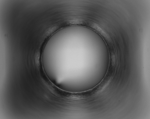 X0000096730490200802191551