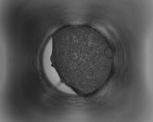 X0000096730491200802191551