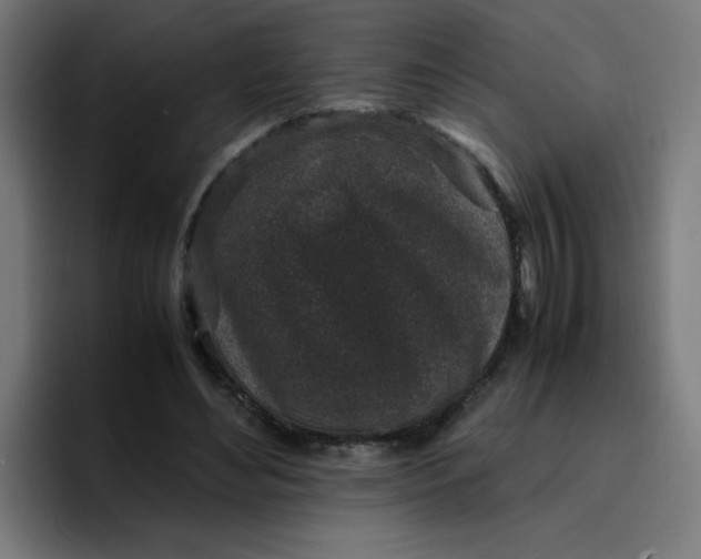 X0000096730492200802191551