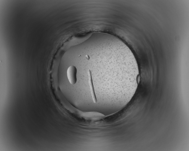 X0000096730493200802191551