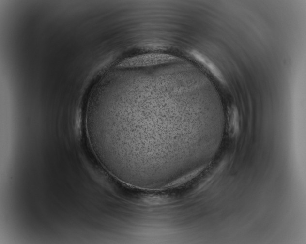 X0000096730494200802191551