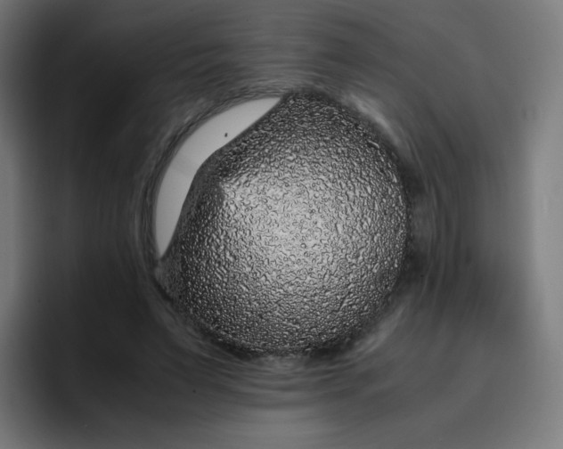 X0000096730495200802191551