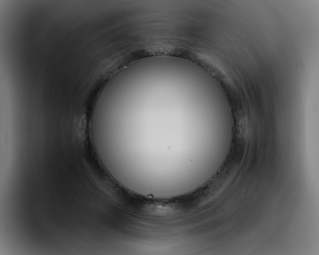 X0000096730498200802191551