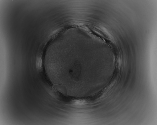 X0000096730500200802191551