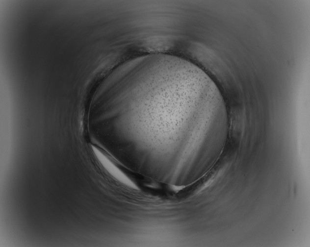 X0000096730501200802191551