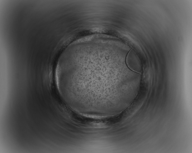 X0000096730502200802191551