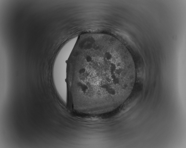 X0000096730503200802191551