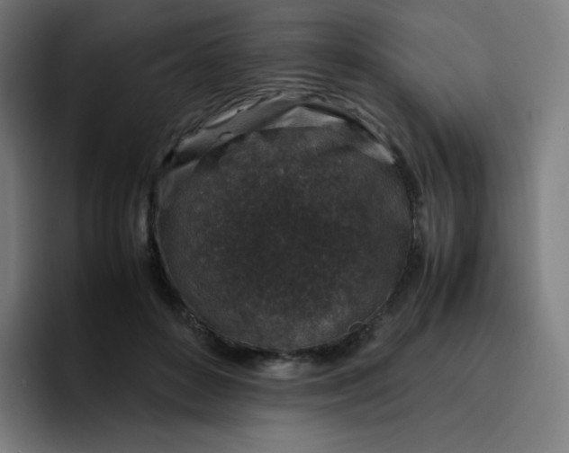 X0000096730504200802191551