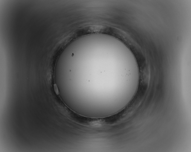 X0000096730505200802191551