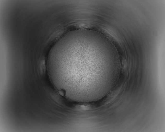 X0000096730506200802191551