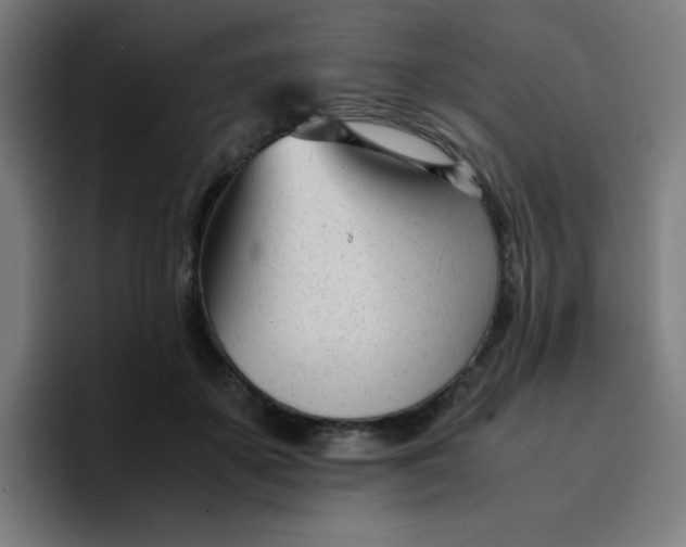 X0000096730507200802191551