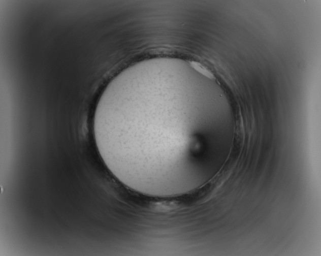 X0000096730508200802191551