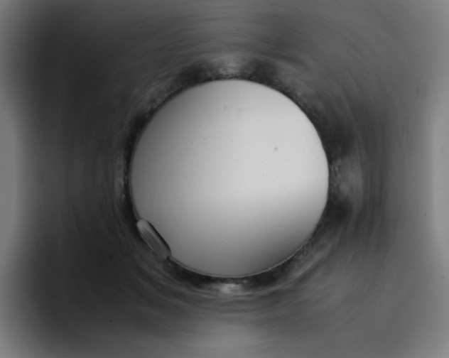 X0000096730509200802191551