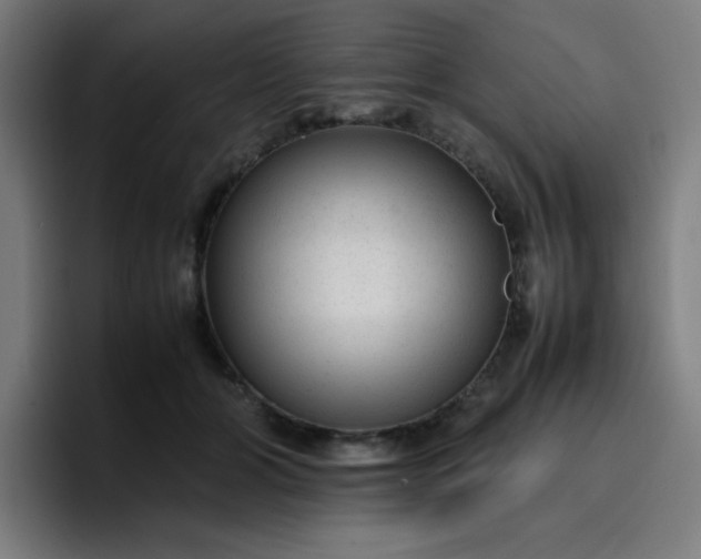 X0000096730510200802191551