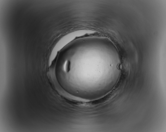 X0000096730511200802191551