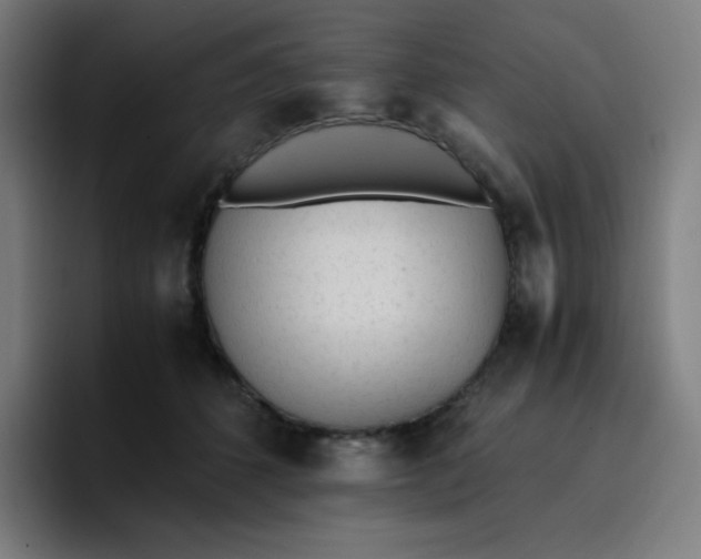 X0000096730512200802191551