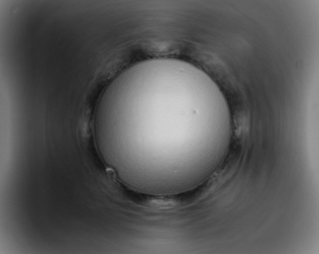 X0000096730515200802191551