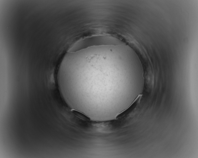 X0000096730516200802191551