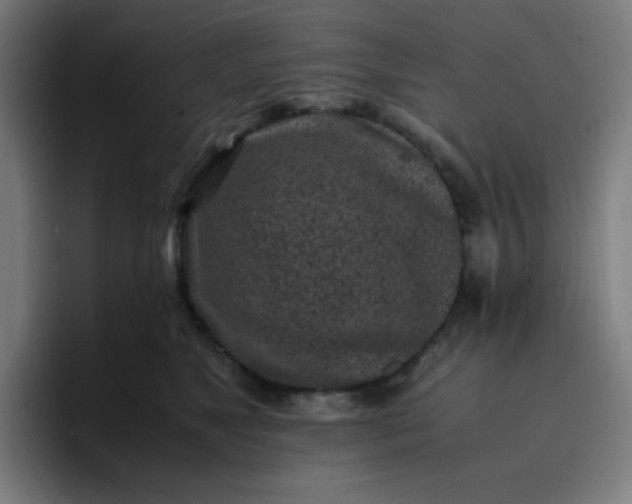 X0000096730517200802191551