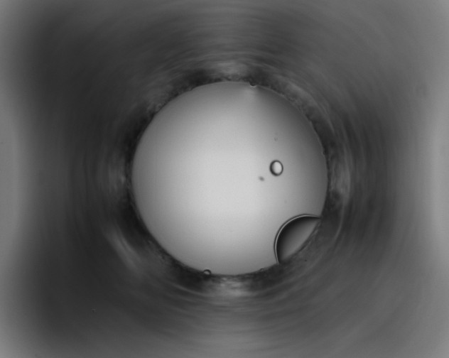 X0000096730518200802191551