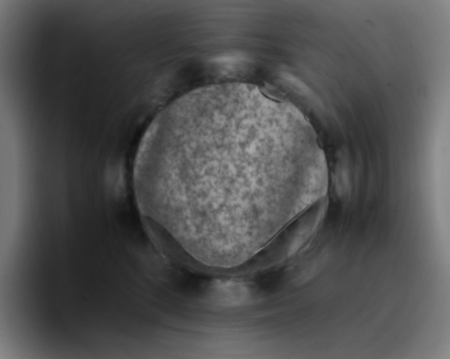 X0000096730520200802191551