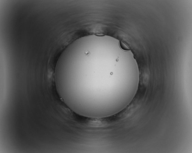 X0000096730521200802191551