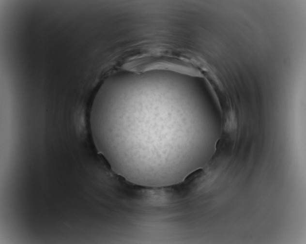 X0000096730524200802191551