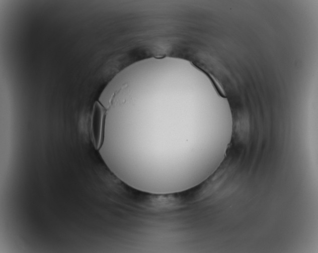 X0000096730525200802191551