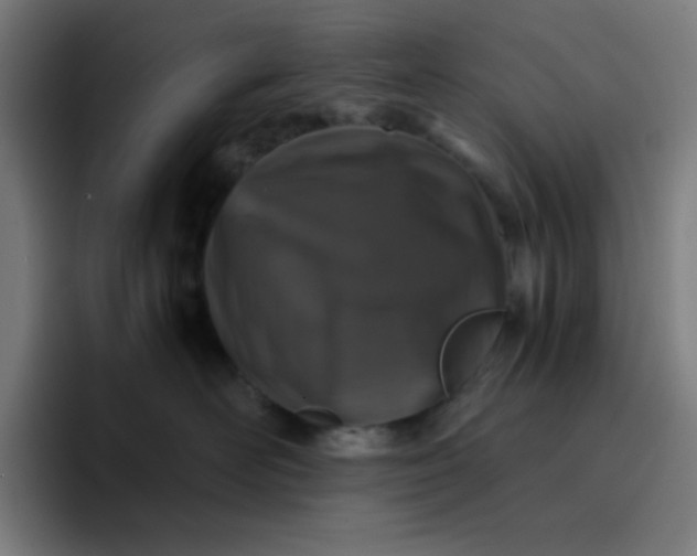 X0000096730526200802191551