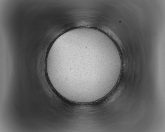 X0000096730529200802191550