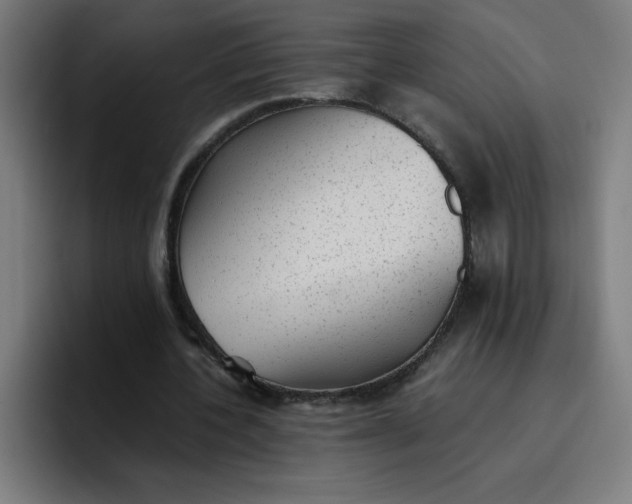 X0000096730532200802191550